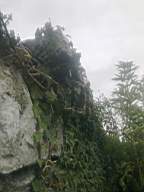 scarpwall-2390.jpg