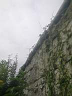 scarpwall-2400.jpg