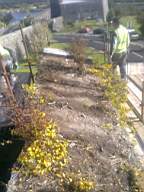 scarpwall-2450.jpg