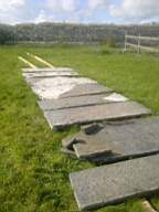 scarpwall-2530.jpg