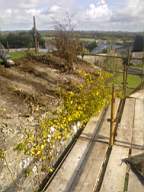 scarpwall-2570.jpg