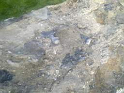 scarpwall-2640.jpg