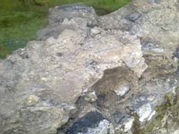 scarpwall-2650.jpg
