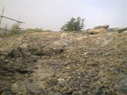 scarpwall-2730.jpg