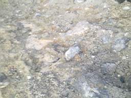 scarpwall-2740.jpg