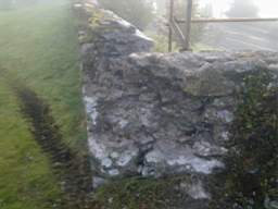 scarpwall-2820.jpg