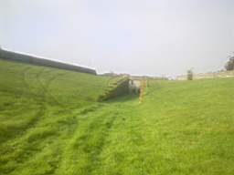 scarpwall-2930.jpg
