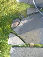 scarpwall-2940.jpg