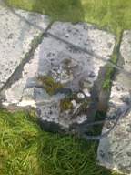 scarpwall-2970.jpg