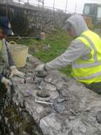 scarpwall-3090.jpg