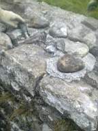 scarpwall-3100.jpg