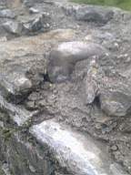 scarpwall-3120.jpg