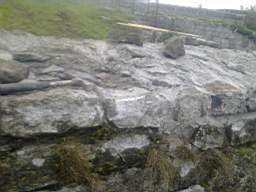 scarpwall-3140.jpg