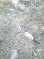 scarpwall-3180.jpg
