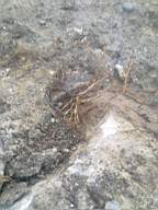 scarpwall-3210.jpg