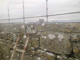 scarpwall-3610.jpg