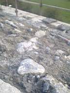 scarpwall-3630.jpg