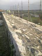 scarpwall-3670.jpg