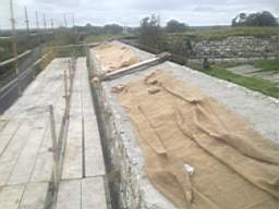 scarpwall-3700.jpg