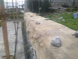 scarpwall-3710.jpg