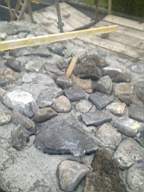 scarpwall-3820.jpg