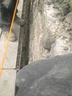 scarpwall-3950.jpg