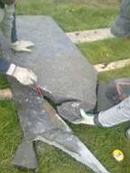 scarpwall-4120.jpg