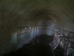 scarpwall-4430.jpg