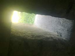 scarpwall-4450.jpg