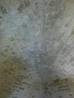 scarpwall-4470.jpg