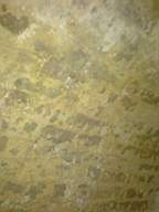 scarpwall-4480.jpg