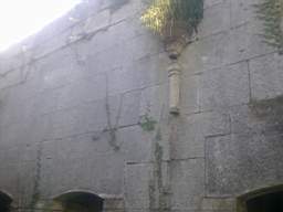 scarpwall-4530.jpg