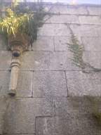 scarpwall-4540.jpg