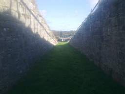 scarpwall-4560.jpg