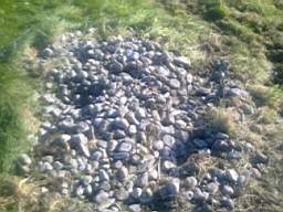 scarpwall-4600.jpg