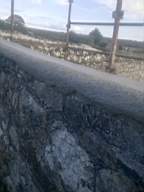 scarpwall-4840.jpg