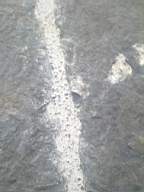 scarpwall-4960.jpg