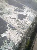 scarpwall-4970.jpg