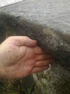scarpwall-5010.jpg