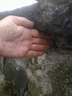 scarpwall-5020.jpg