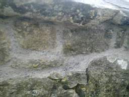 scarpwall-5040.jpg