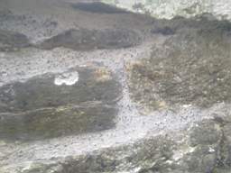 scarpwall-5050.jpg