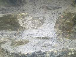 scarpwall-5060.jpg