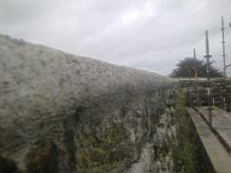 scarpwall-5150.jpg