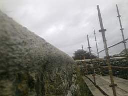 scarpwall-5160.jpg