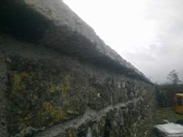 scarpwall-5240.jpg