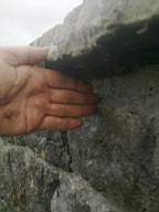 scarpwall-5260.jpg