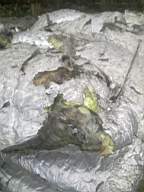 scarpwall-5280.jpg