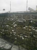 scarpwall-5310.jpg