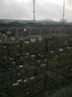 scarpwall-5320.jpg